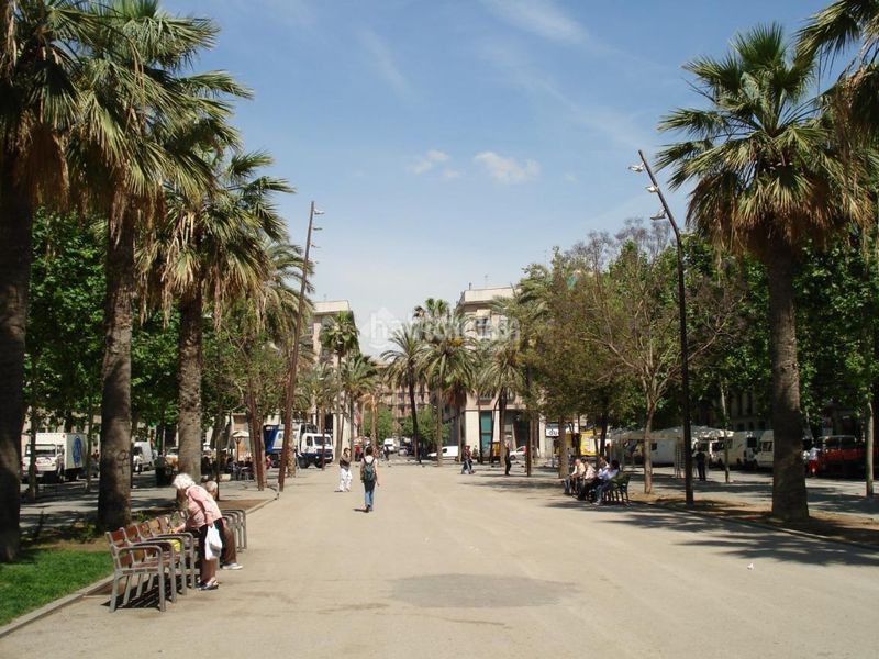 Foto fb7b0406-2933-4184-9eee-238ba204af00. Pis a Raval Barcelona