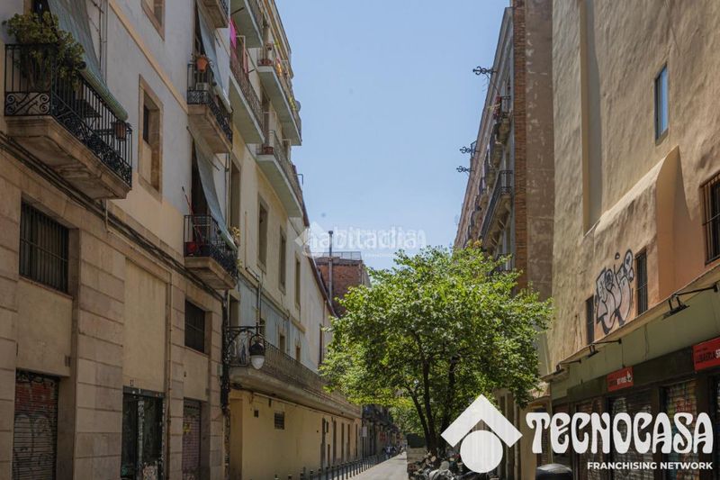 Foto 0610a665-eec6-4128-858d-aa0d57d96c28. Pis a Raval Barcelona