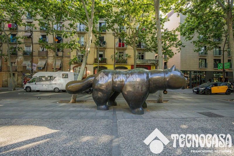 Foto 074e4e4e-8aa6-4020-a6e1-5e3f4d8d1f93. Pis a Raval Barcelona