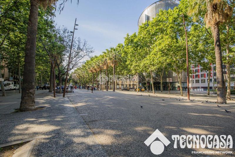 Foto fdd60855-f1ec-45e2-b59a-c158bd6e27ca. Pis a Raval Barcelona