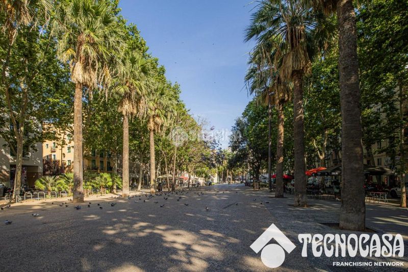 Foto f8e85d82-65cf-498a-bbd8-0673c12eb078. Pis a Raval Barcelona