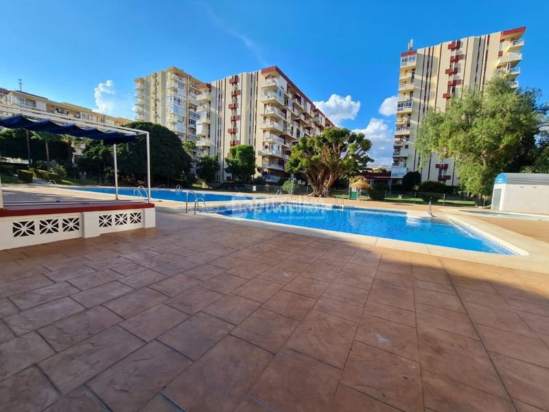 Foto 4a35f8a9-3eb6-42e9-8e56-f5ff8c667529. Estudi a Parque de la Paloma Benalmádena