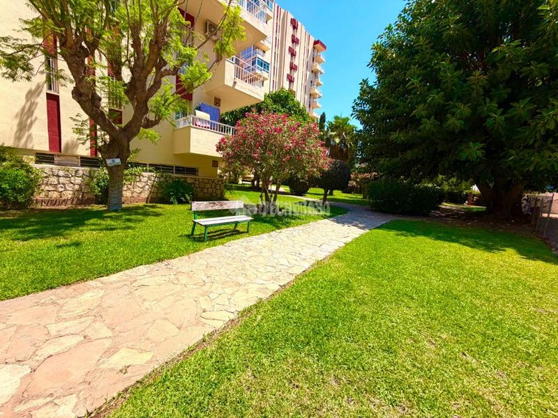 Foto 17a2c1ea-4975-42ad-8596-d2b05b44cbcd. Pis a Parque de la Paloma Benalmádena