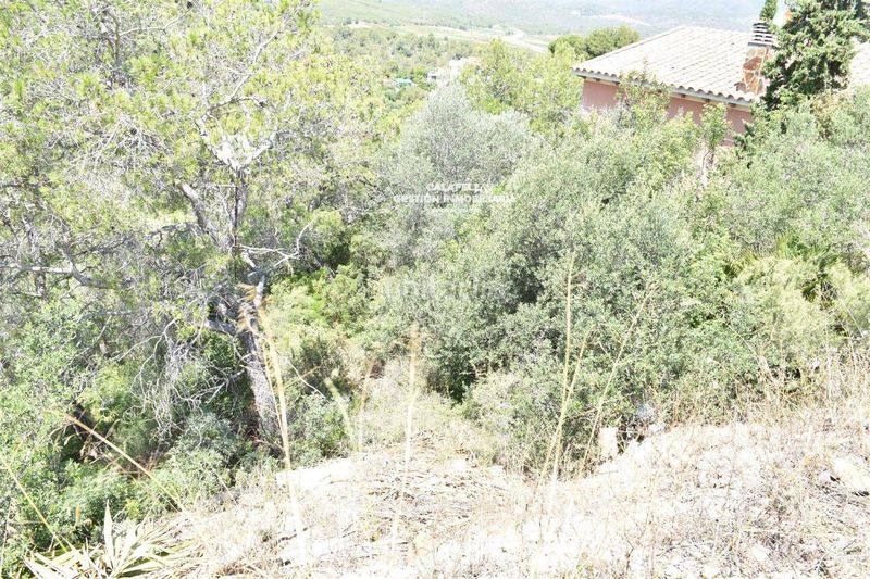 Foto 3fa06c42-e880-4863-ae17-9f86902ec437. Finca rústica a Bisbal del Penedès (La)