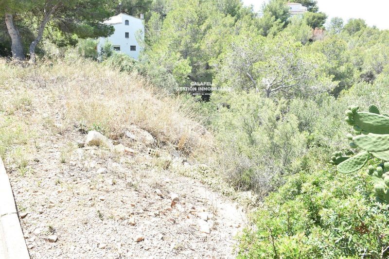 Foto 703477e1-b982-4455-b90c-9ae9266404e2. Finca rústica a Bisbal del Penedès (La)