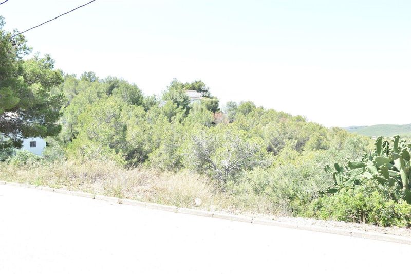 Foto 7502203e-0277-49e9-a5bd-44ddf6797b56. Finca rústica a Bisbal del Penedès (La)