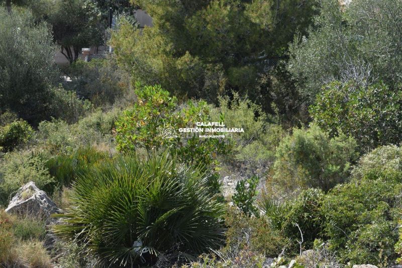 Foto 7c66ec7b-01e7-4666-88c8-2b31b3eb55b5. Finca rústica a santa maria de montserrat 117 a Segur de dalt Segur de Calafell