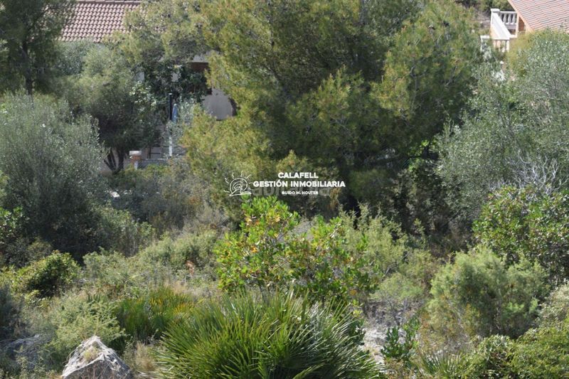 Foto d5ccd96d-b4b1-425d-880d-207c4d69f3b9. Finca rústica a santa maria de montserrat 117 a Segur de dalt Segur de Calafell