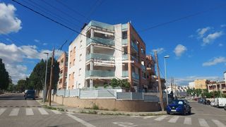 Pis a mediterrani 40