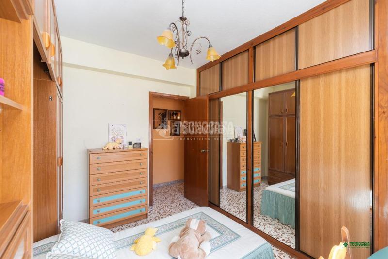 Foto 5d30e438-6790-4883-aacc-dc6efd548132. Pis a Albox