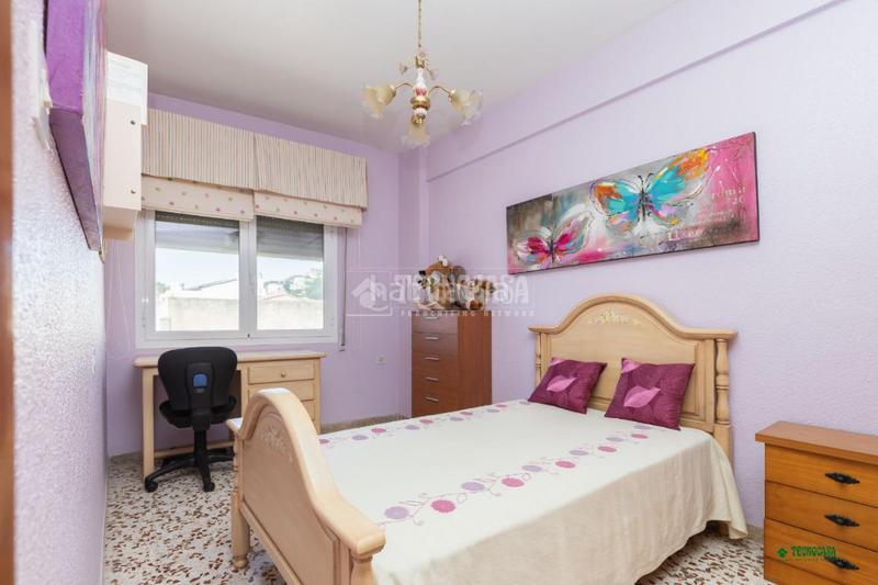 Foto 644ebfad-4ebd-428f-b3e0-64e005deb2cd. Pis a Albox