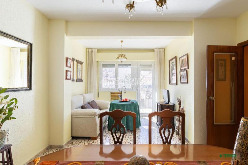 Foto 69596b5e-cd2a-4404-a530-a870cc84a714. Pis a Albox