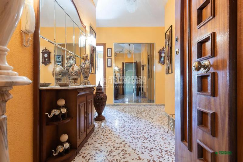 Foto 809311a7-c0f6-4134-a26b-15a16455c1c0. Pis a Albox