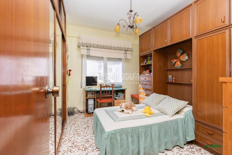 Foto df4edd1d-6907-45a3-9a69-bdb8225b27f8. Pis a Albox