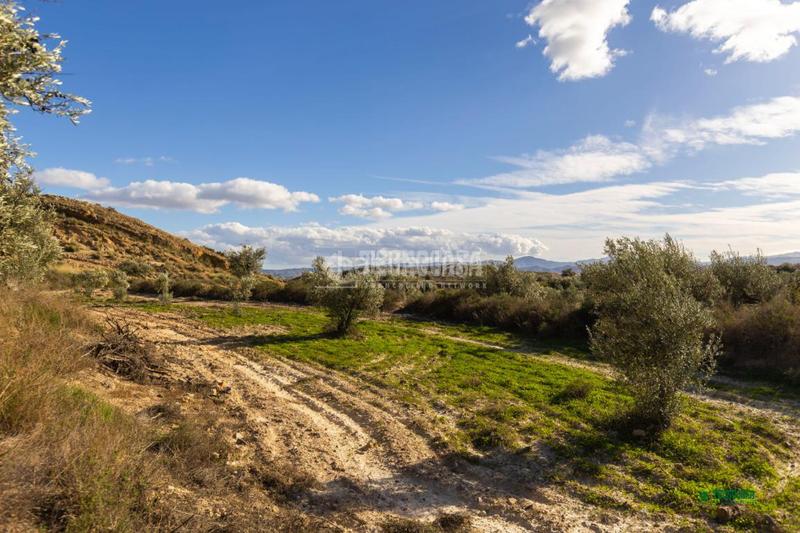 Foto 4663243c-c3b1-4f74-99fd-898bb60a9f79. Mas avec parking dans Partaloa