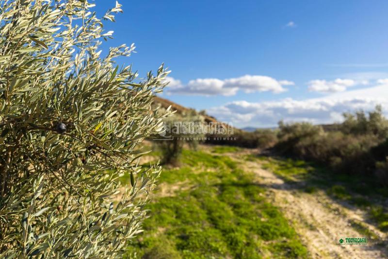 Foto 6823beed-ce65-4686-aef8-8dc134d1783f. Mas avec parking dans Partaloa