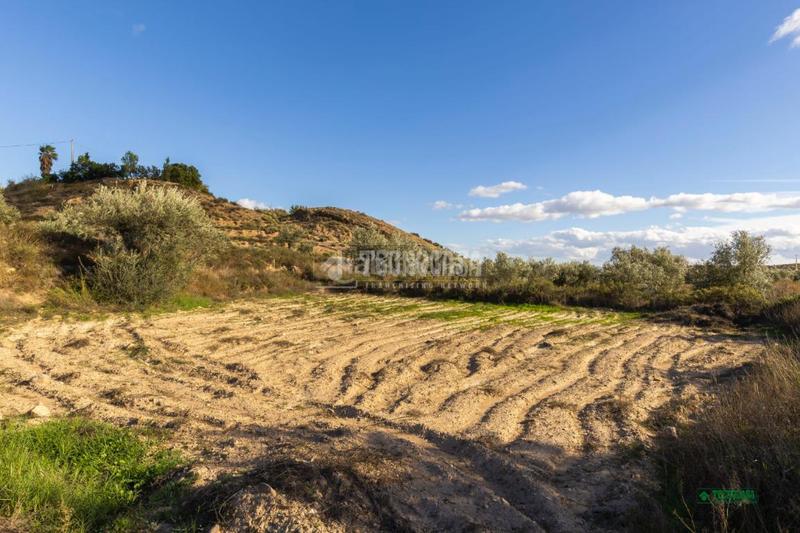 Foto d467bb33-1267-42e2-99ee-9c206de0aad1. Mas avec parking dans Partaloa