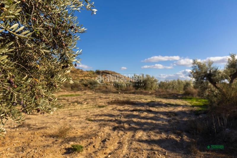 Foto d8cfb37c-7054-492e-ae29-174269e152fe. Mas avec parking dans Partaloa