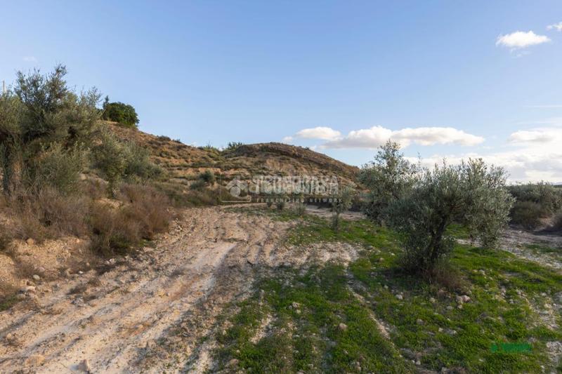 Foto e033109d-d56e-4af0-9cdd-f946b8e3c7cd. Mas avec parking dans Partaloa