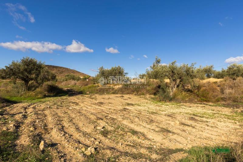 Foto e48f32fc-11ed-4847-895f-5b4123f80a63. Mas avec parking dans Partaloa