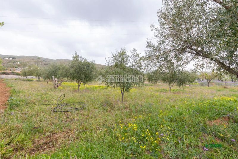 Foto ca4e221a-de66-4bf8-93d3-f652243c39b1. Masia a Cantoria