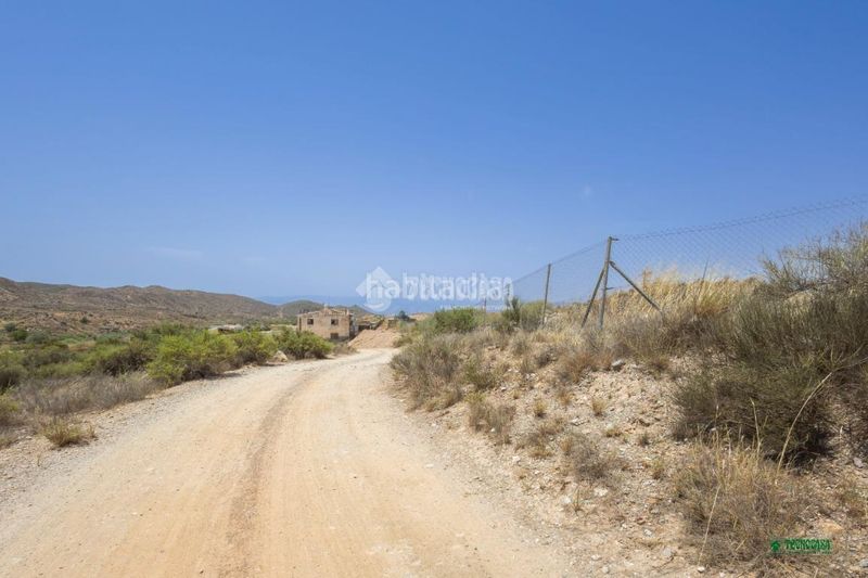 Foto a1b49062-fb8d-46eb-9f89-6d4bdcb5c8c0. Masia a Albox