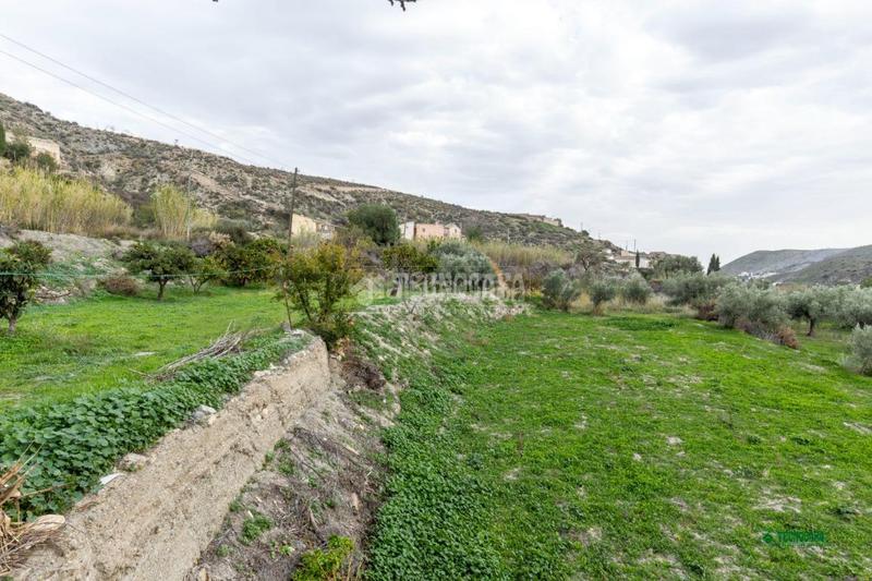 Foto ed42683b-c892-4677-a355-ac00d02a916c. Mas avec parking dans Albox