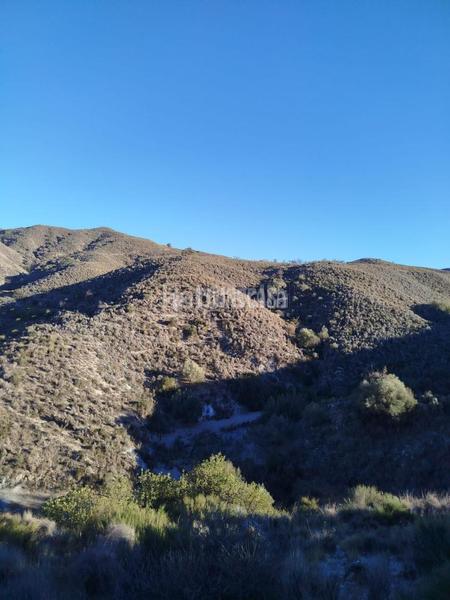 Foto 679a227c-c475-44ea-89b8-18a8051a2208. Wohngrundstück in Bédar