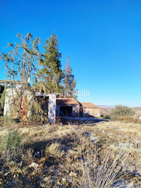 Foto 70736ced-91d2-45fc-9aa7-c1f1a58acc66. Wohngrundstück in Bédar