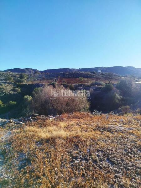 Foto a2a887c3-2b2b-4f86-a82b-bd4a66d7912d. Wohngrundstück in Bédar