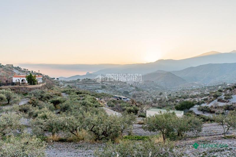 Foto 782b8a43-0890-4f12-bf51-13ecd234ef11. Doppelhaus in Felix