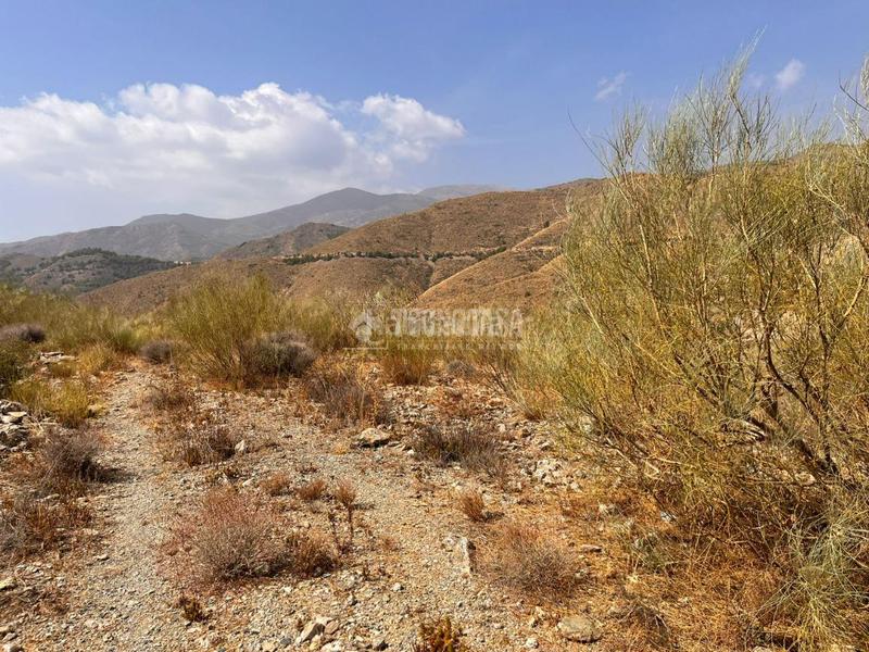 Foto 63d60579-dcf8-4031-ae8f-b8bd5d778433. Finca rústica terrenos en venta en Felix