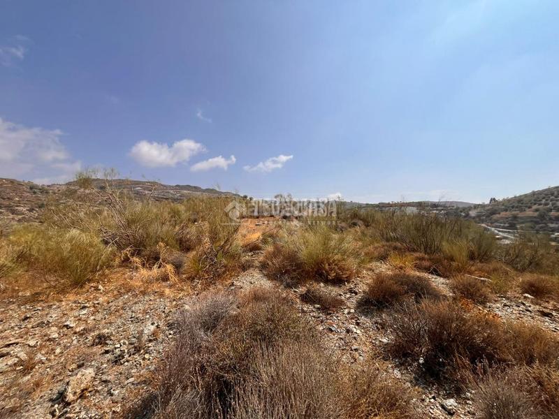 Foto 6f37670d-437b-4e4c-a24c-07e761ce8b6b. Finca rústica terrenos en venta en Felix