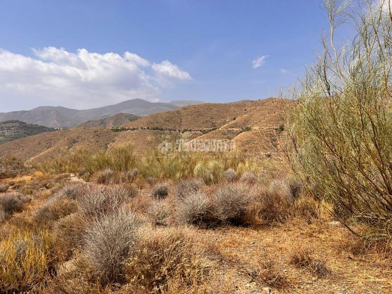 Foto 8e38aff8-f84b-483e-8bd6-f54b3f4ab79a. Finca rústica terrenos en venta en Felix