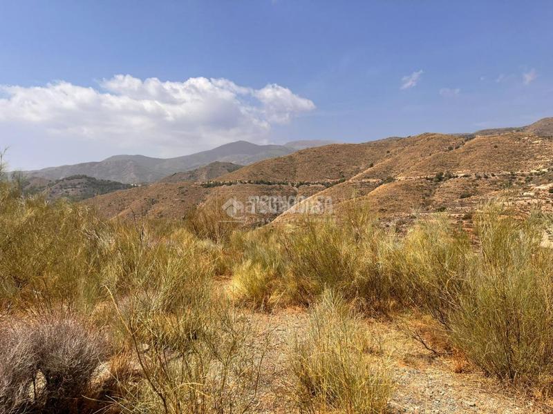 Foto d28678cb-d398-429e-ad9e-9cedaba56777. Finca rústica terrenos en venta en Felix