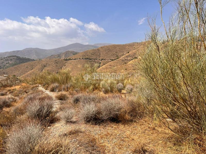 Foto e0228fde-aa74-410f-81c1-b7d3e46c80de. Finca rústica terrenos en venta en Felix