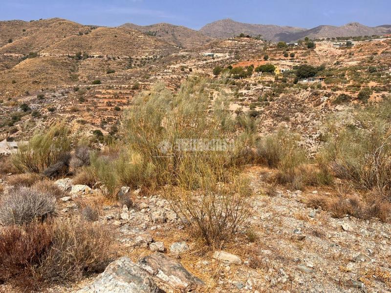 Foto e81311b6-7a9f-4ee8-9eab-e3f0561376d2. Finca rústica terrenos en venta en Felix