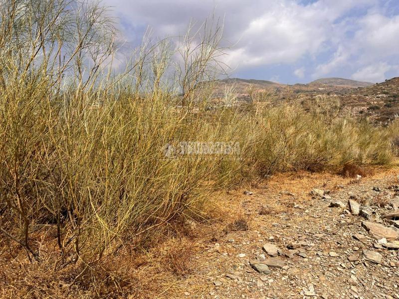 Foto ea258492-3cbe-4b7a-921f-cebe8694cdb1. Finca rústica terrenos en venta en Felix