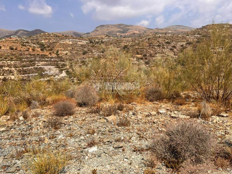 Foto fc9adcc6-a584-4554-aa7c-2c33215f96e8. Finca rústica terrenos en venta en Felix