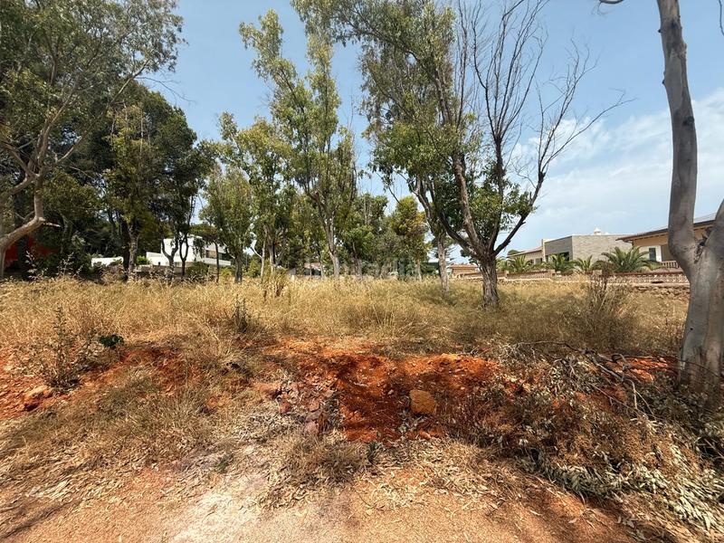 Foto d98ba39d-d85b-498c-a1d7-3aa61fe79549. Terreny residencial a Las Rotas / Les Rotes Dénia