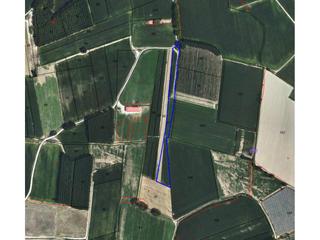Finca rústica a Verges. Terreno rustico de uso agrario