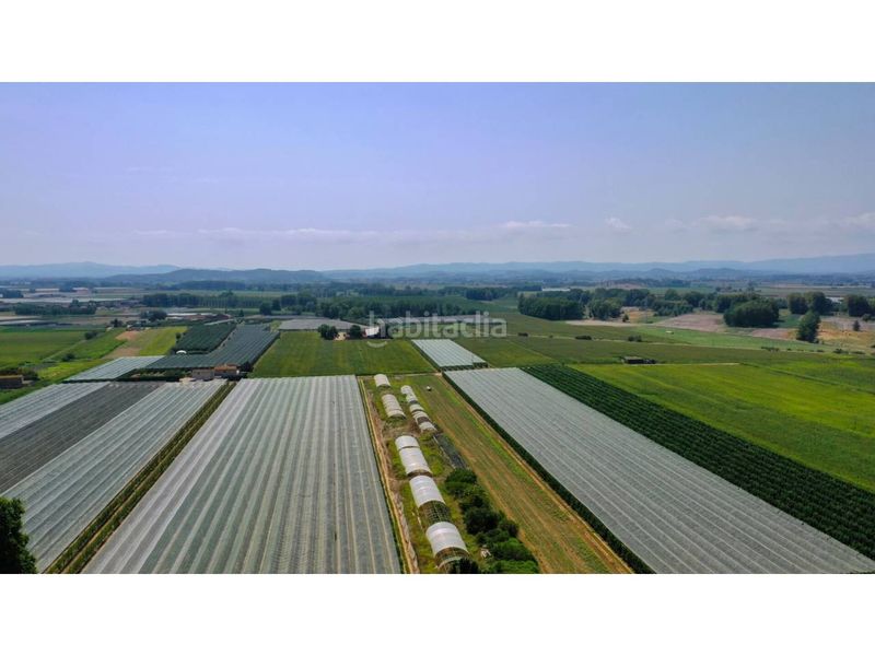 Foto 0a1c08cc-e0bd-420f-986e-a988403b3a85. Masia amb aparcament piscina a Verges