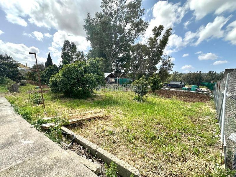 Foto 3d5a6999-ec27-4284-b883-4686a12eb942. Casa amb aparcament a Centro Jerez de la Frontera