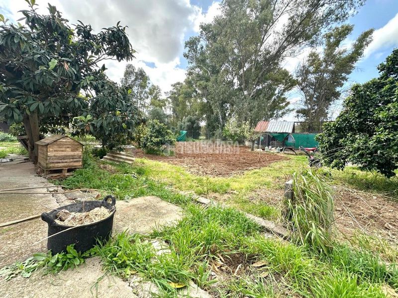 Foto bd7a476e-f48b-46d1-8518-4b80968d55dc. Casa amb aparcament a Centro Jerez de la Frontera