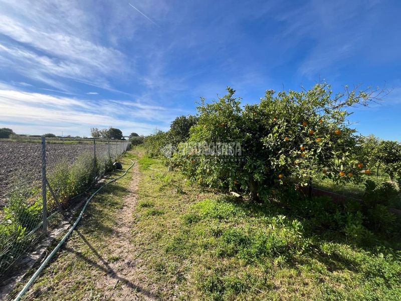 Foto 27a0a424-07bd-4272-8f11-946655eab0ff. Finca rústica a Pozoalbero Jerez de la Frontera