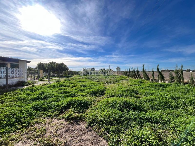 Foto 6a608270-8a41-43b7-a938-1ead121d6c56. Finca rústica a Pozoalbero Jerez de la Frontera