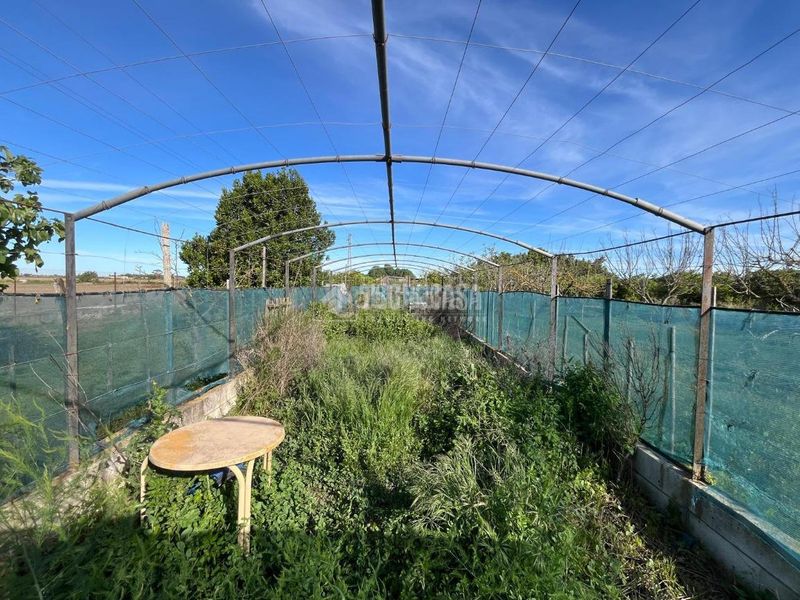 Foto cb2ec11c-cb28-4bac-ba74-51ed7d53e703. Finca rústica a Pozoalbero Jerez de la Frontera