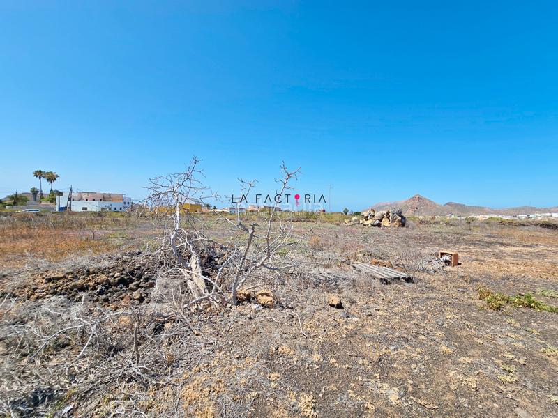 Foto 4b131780-5897-44d4-98a7-bccd97d6bfd3. Finca rústica a Buzanada Arona