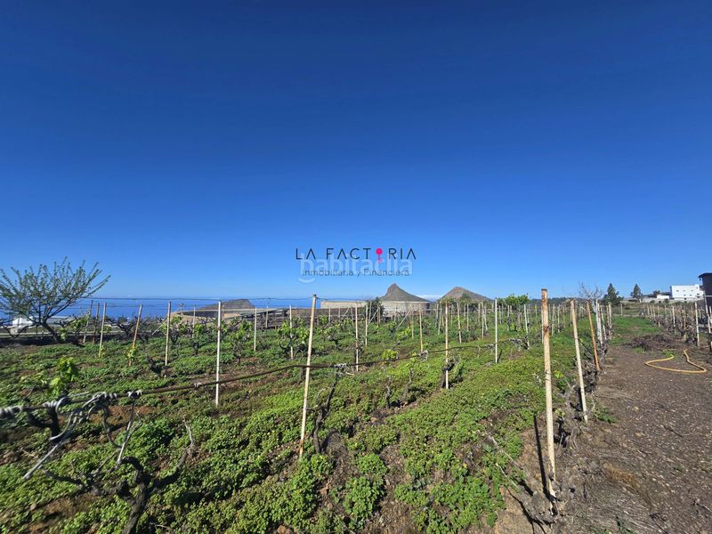 Foto 2a89cd31-89dc-4512-b832-86da9f53dc57. Finca rústica a Vilaflor