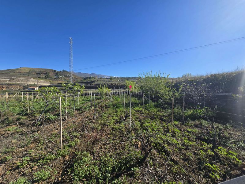 Foto dc9c3d77-4649-4ea6-9444-48bc96f8fc2f. Finca rústica a Vilaflor